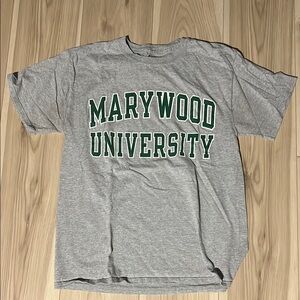 Champion Gray and Green Collegiate Tee